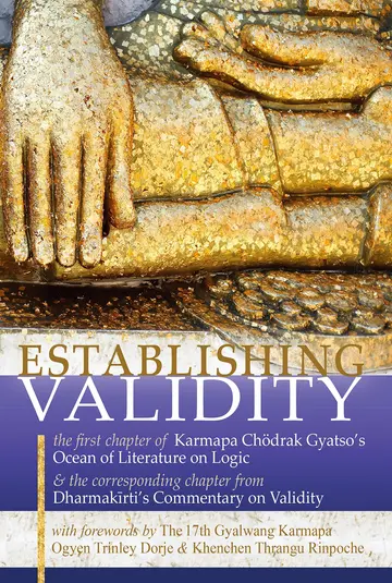 Cover of Establishing Validity