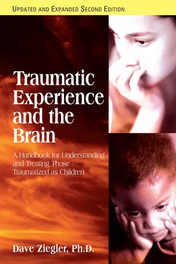 Cover of Traumatic Experience and the Brain