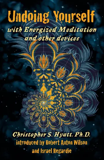 Cover of Undoing Yourself with Energized Meditation & Other Devices
