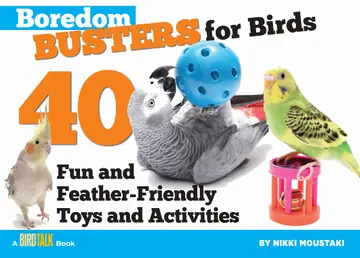 Cover of Boredom Busters for Birds