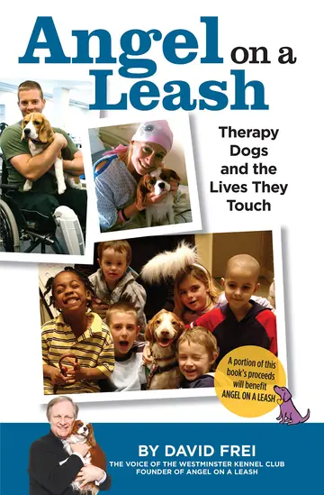 Cover of Angel on a Leash