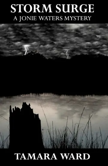 Cover of Storm Surge
