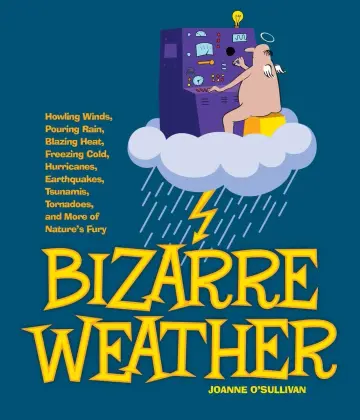 Cover of Bizarre Weather