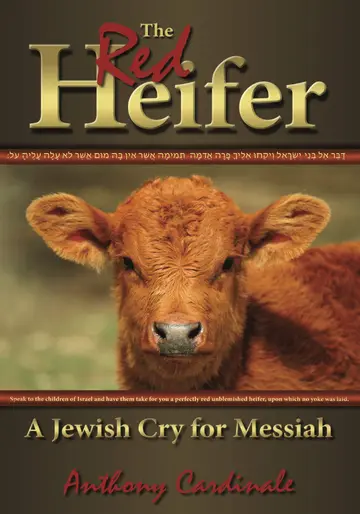 Cover of The Red Heifer