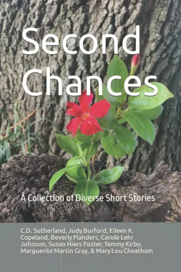 Cover of Second Chances