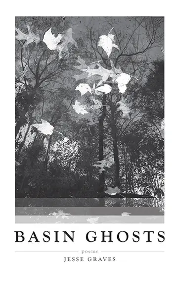 Cover of Basin Ghosts