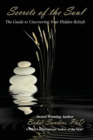 Cover of Secrets of the Soul