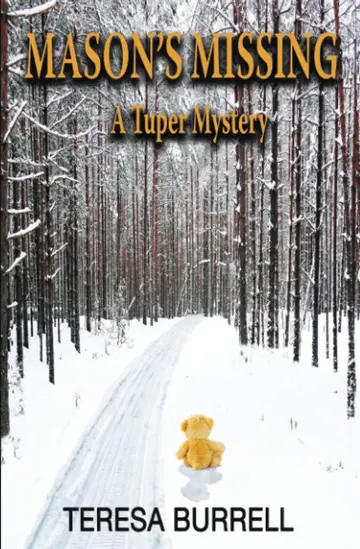 Cover of Mason's Missing