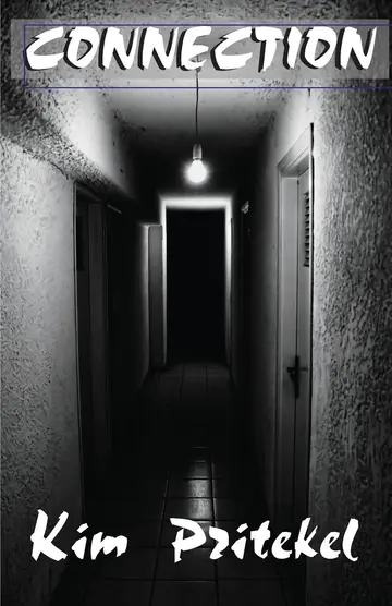 Cover of Connection