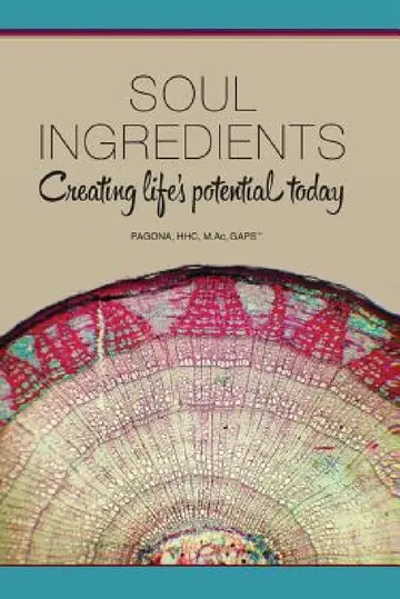 Cover of Soul Ingredients