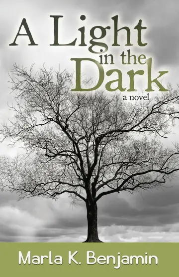 Cover of A Light in the Dark
