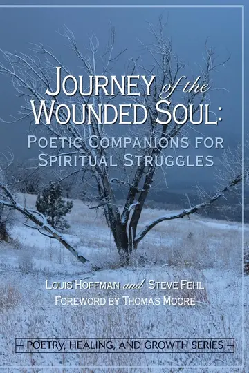 Cover of Journey of the Wounded Soul