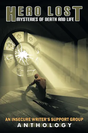 Cover of Hero Lost