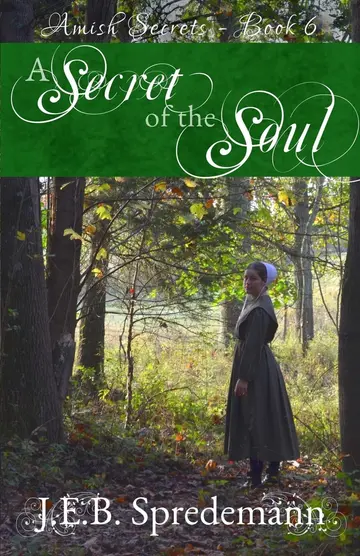 Cover of A Secret of the Soul