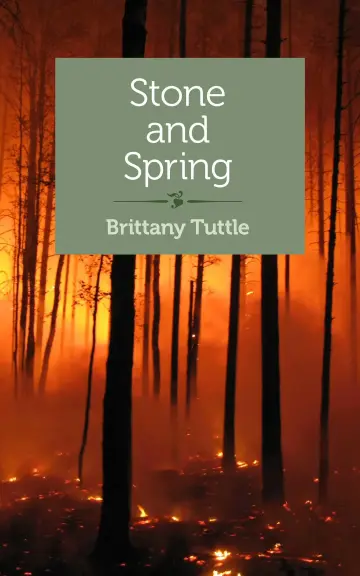 Cover of Stone and Spring