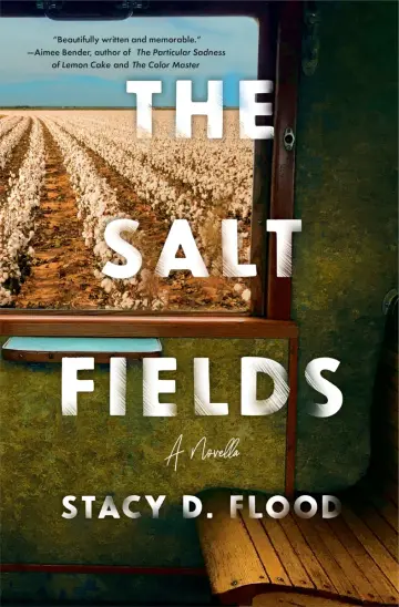 Cover of The Salt Fields