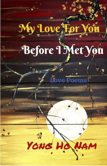Cover of My Love for You Before I Met You