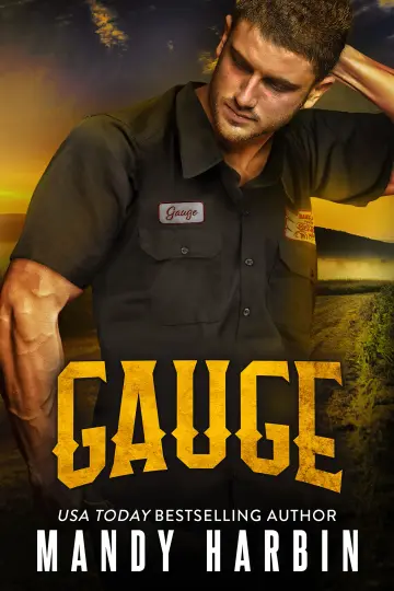 Cover of Gauge