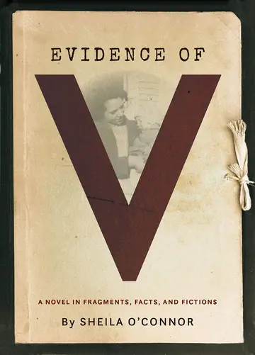 Cover of Evidence of V