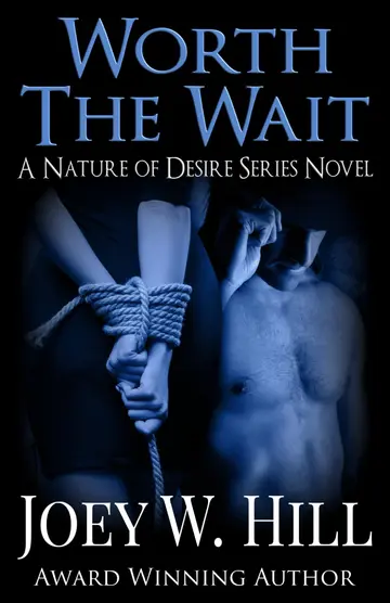 Cover of Worth the Wait
