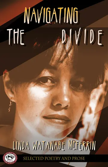 Cover of Navigating the Divide