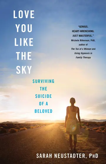Cover of Love You Like the Sky