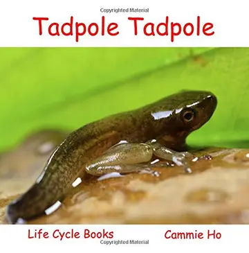 Cover of Tadpole Tadpole