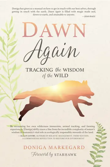 Cover of Dawn Again