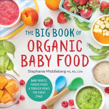 Cover of The Big Book of Organic Baby Food