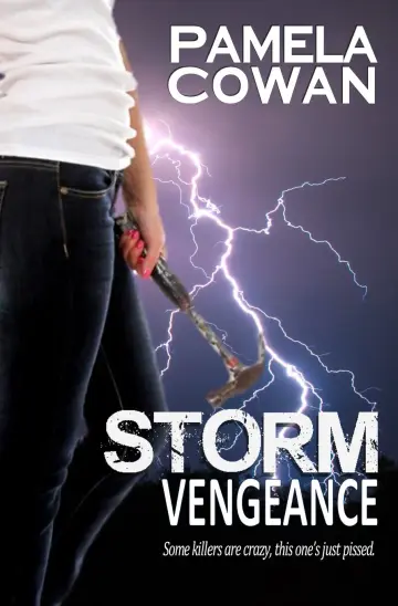 Cover of Storm Vengeance