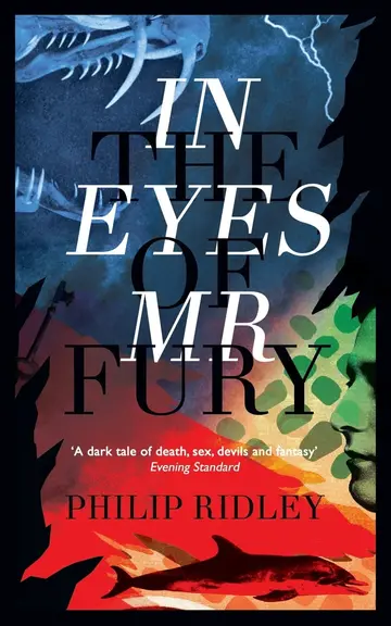 Cover of In the Eyes of Mr Fury