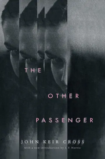 Cover of The Other Passenger