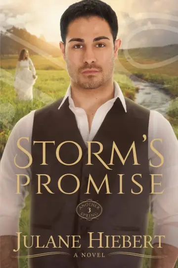 Cover of Storm's Promise