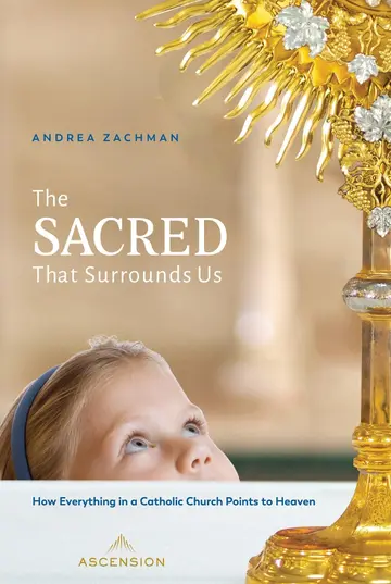 Cover of The Sacred That Surrounds Us