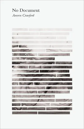 Cover of No Document
