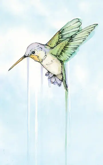 Cover of Hummingbird