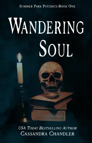 Cover of Wandering Soul