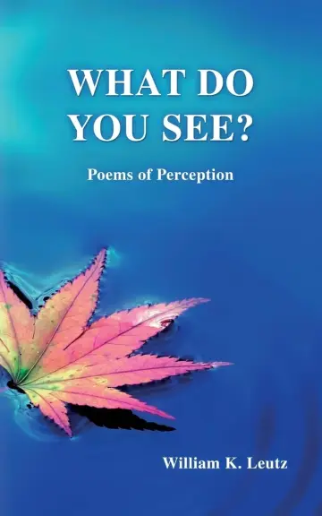 Cover of What Do You See?