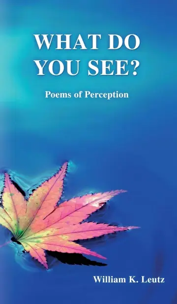Cover of What Do You See?
