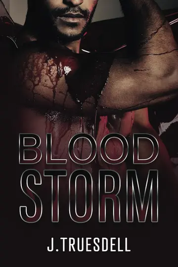 Cover of BloodStorm