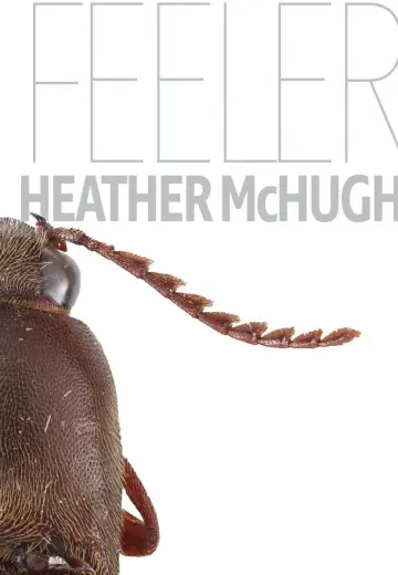 Cover of Feeler