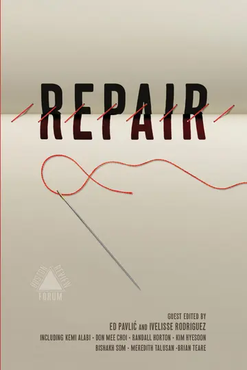 Cover of Repair