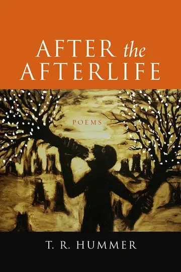 Cover of After the Afterlife