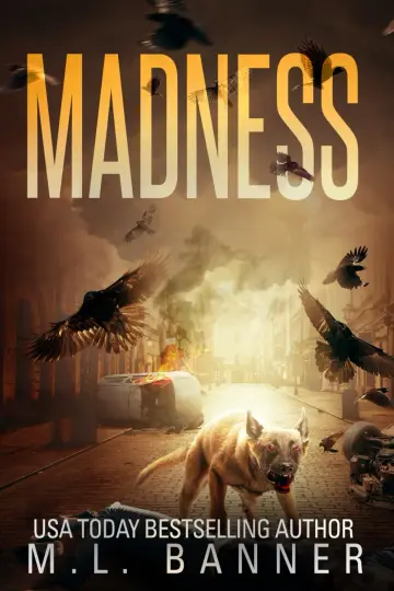 Cover of Madness