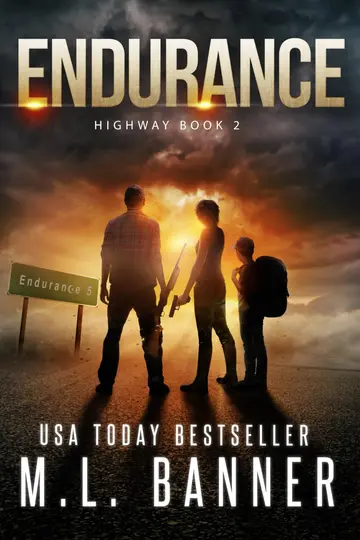 Cover of Endurance