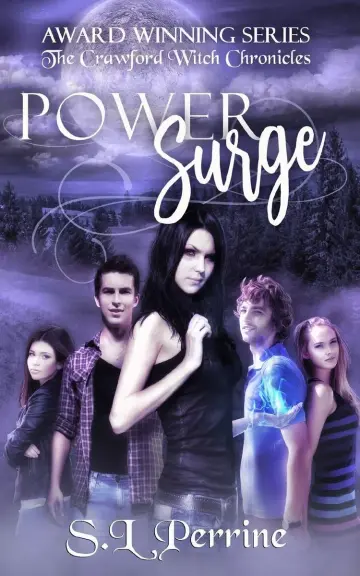Cover of Power Surge