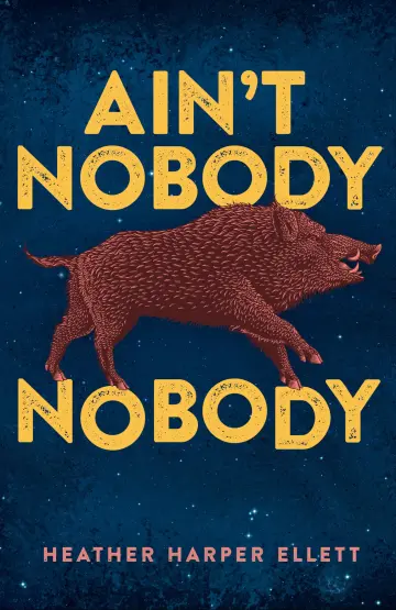 Cover of Ain't Nobody Nobody