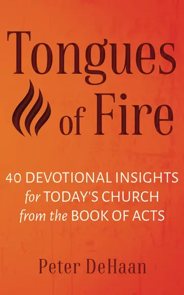 Cover of Tongues of Fire