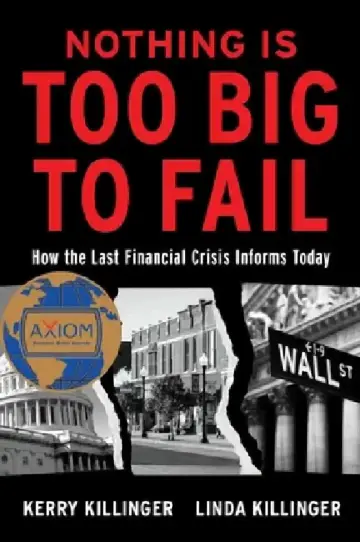 Cover of Nothing Is Too Big to Fail
