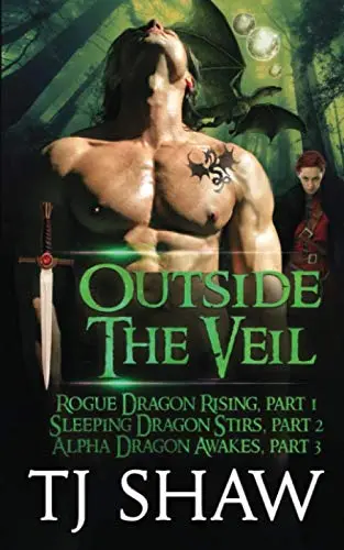 Cover of Outside the Veil